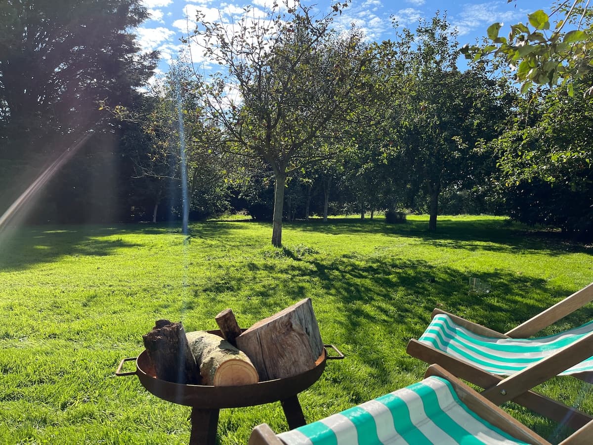 The Orchard photo 3