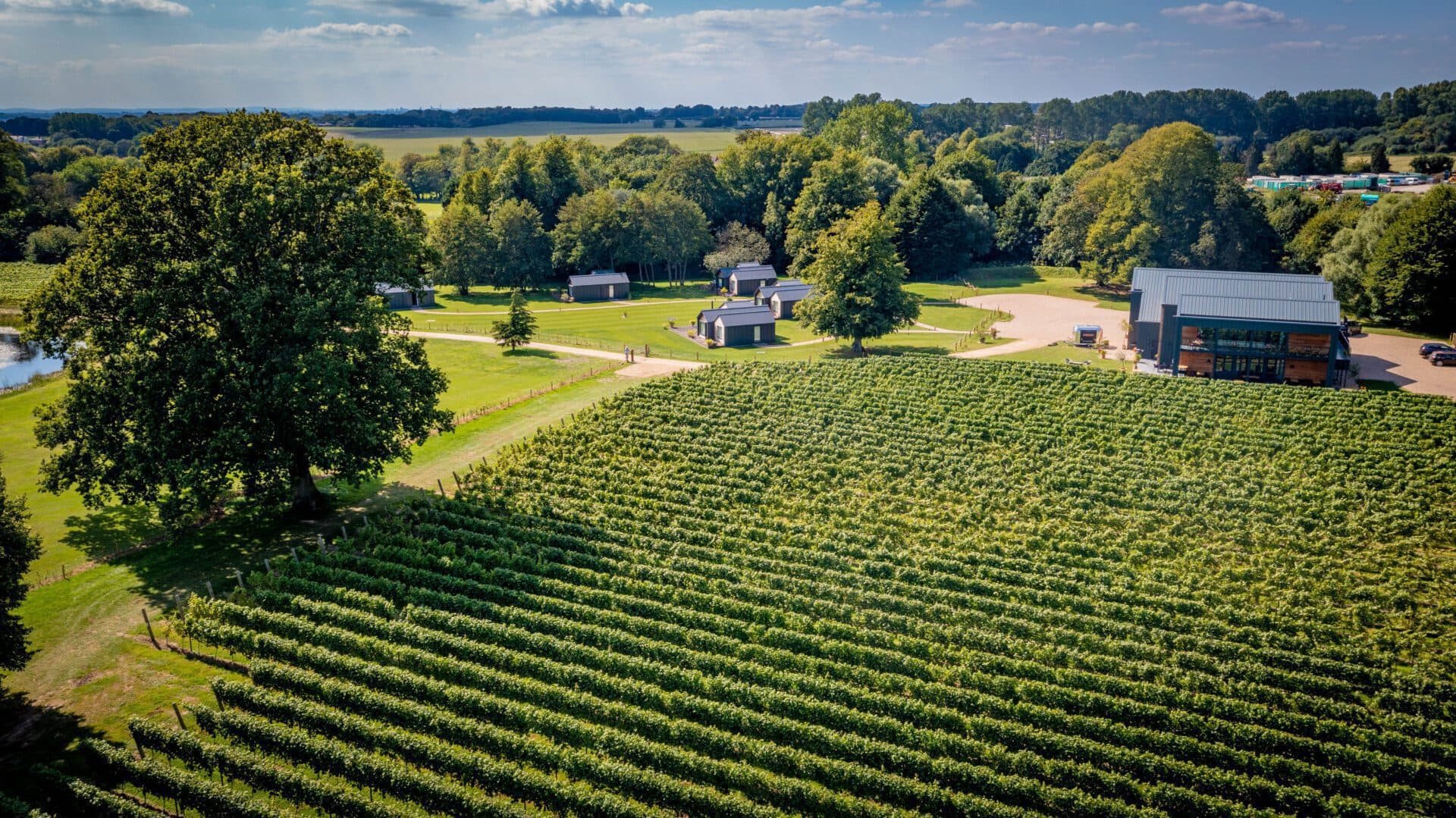 Ashling Park Vineyard